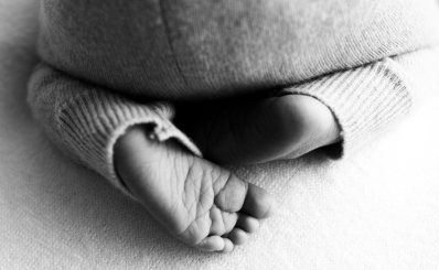 Our New Family Addition